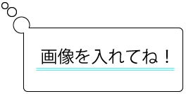 画像を入れてね！